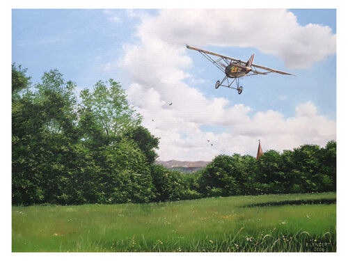 Morane peinture à l'huile par Bernard Lengert - Tirages d'art sur Wings Art Gallery